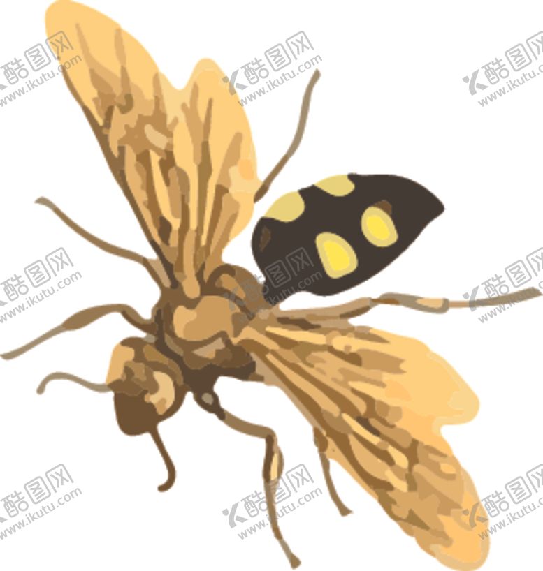 编号：10723909301701309327【酷图网】源文件下载-蜂蜜昆虫插画