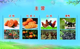 主营专业