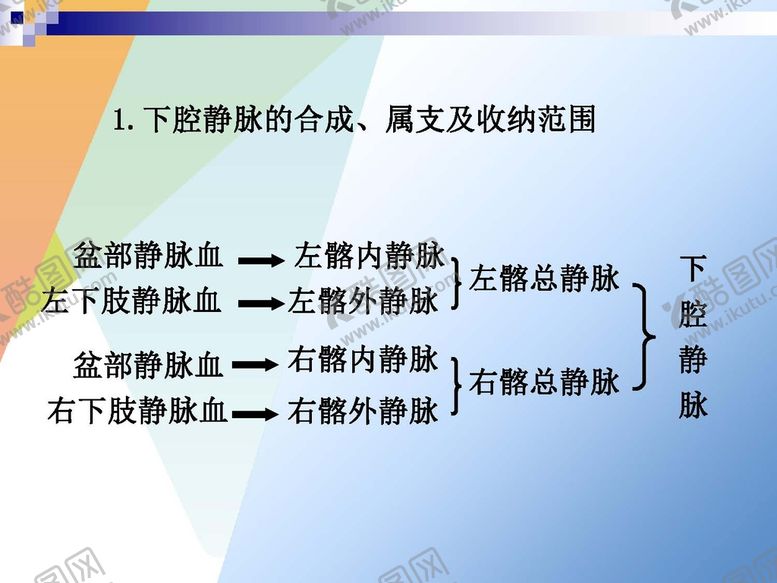 编号：57936801252043485423【酷图网】源文件下载-静脉 