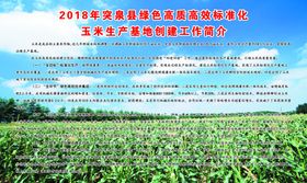 玉米宣传