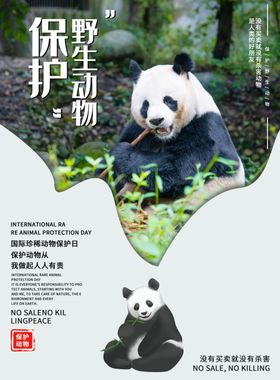 保护野生动物