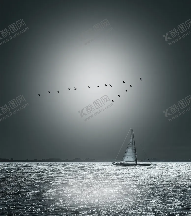 编号：84246506180252143655【酷图网】源文件下载-海上孤帆海鸥图