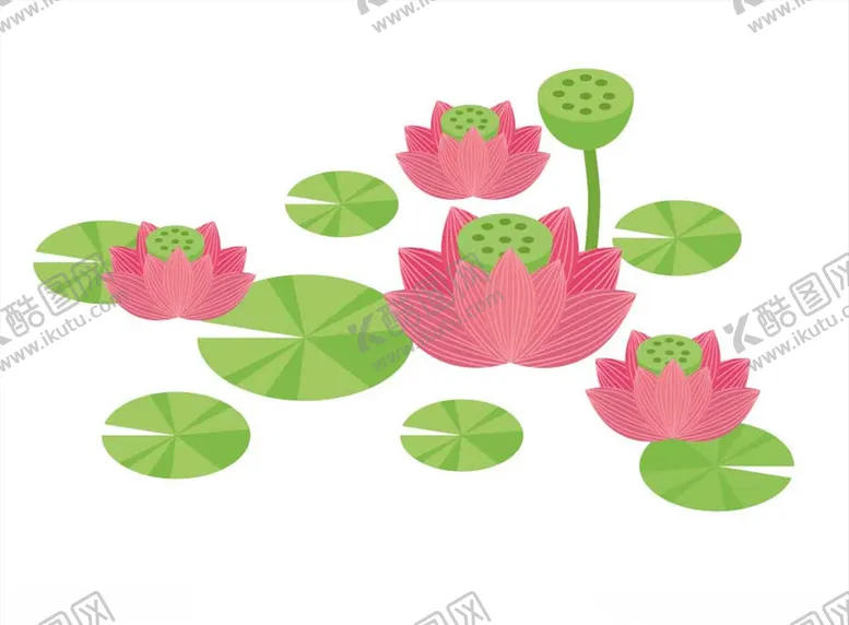 编号：99240504220338491562【酷图网】源文件下载-荷花