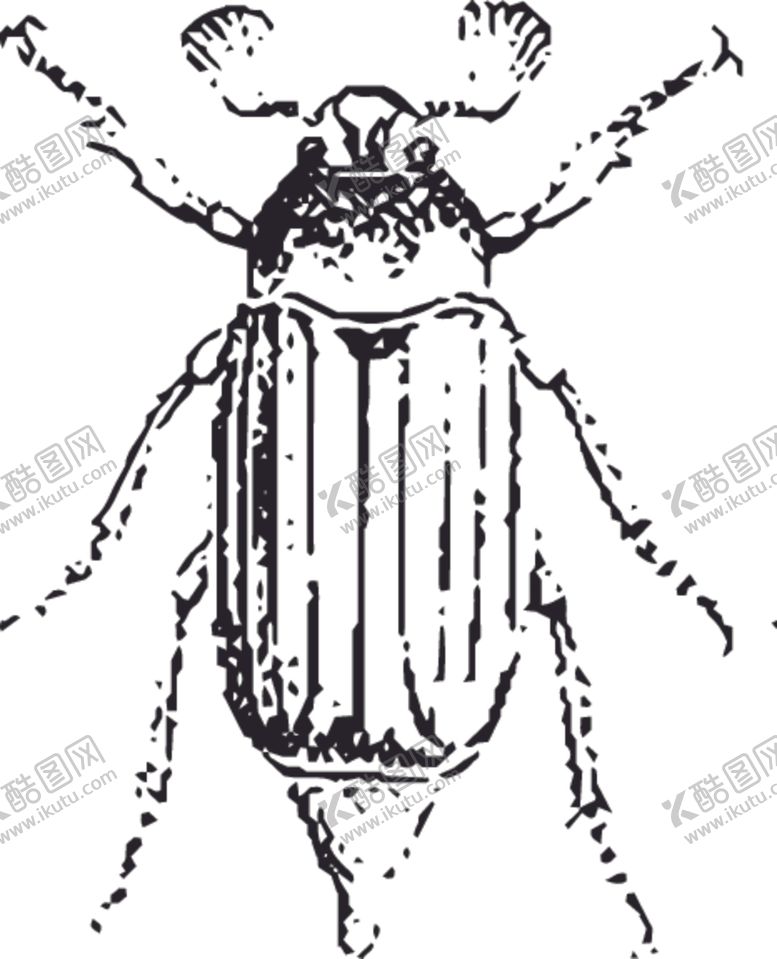 编号：73986507130119589692【酷图网】源文件下载-自然昆虫标本插画