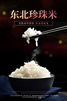 珍珠米食材宣传促销活动海报素材