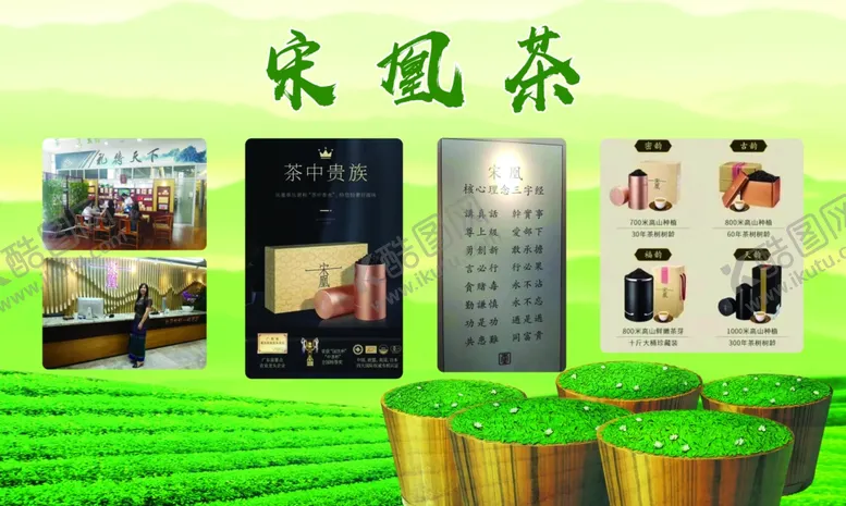 宋凰茶叶叶包装养生制