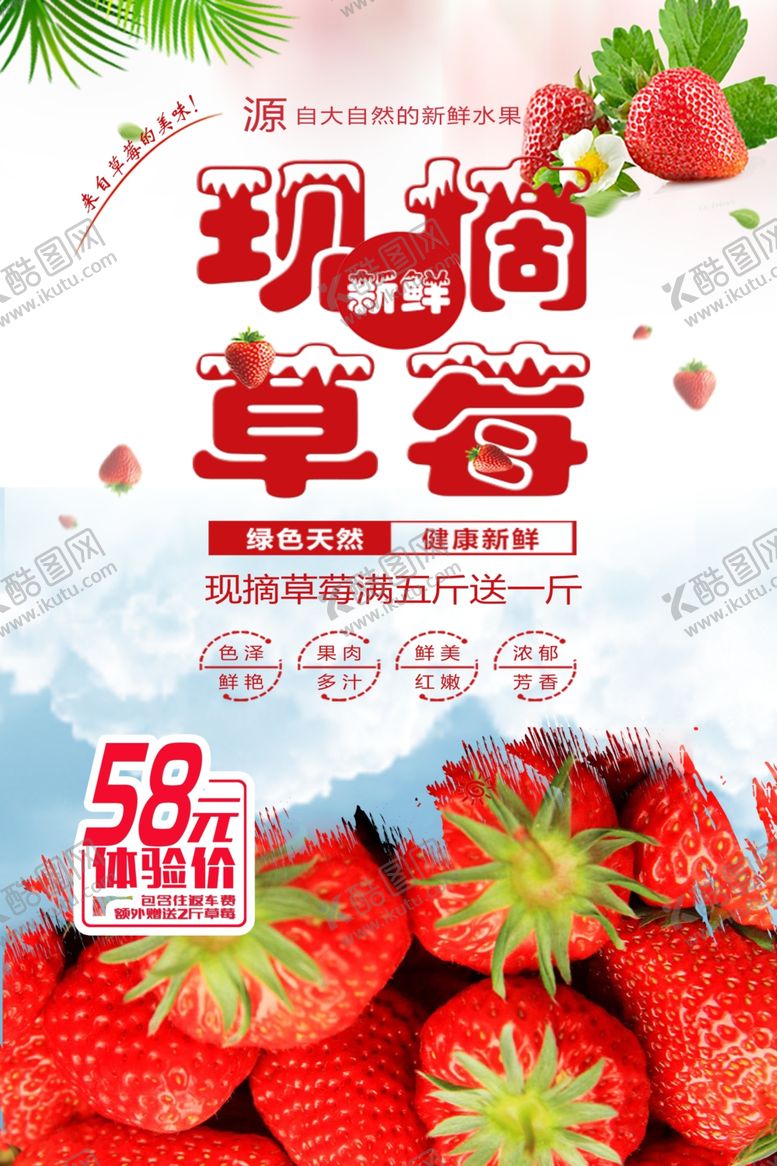 编号：66333801191204154800【酷图网】源文件下载-现摘草莓