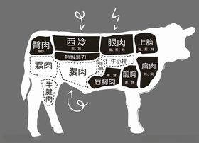 牛肉分割图