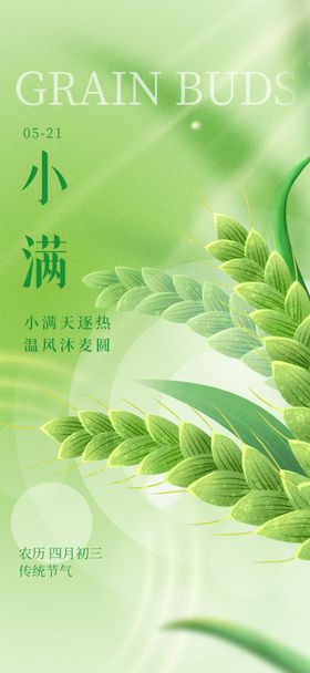 小清新传统24节气小满海报麦子微信初夏水稻