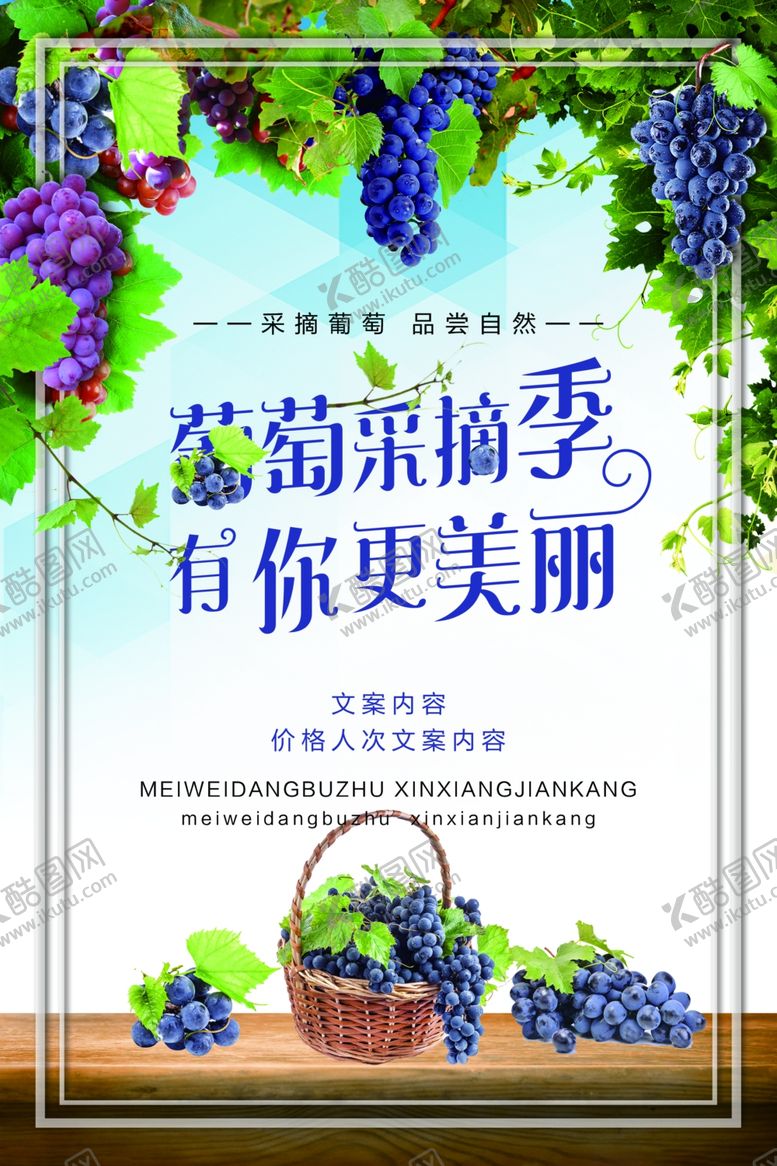 编号：56306010220454411234【酷图网】源文件下载-葡萄采摘季