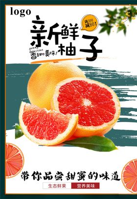 柚子海报