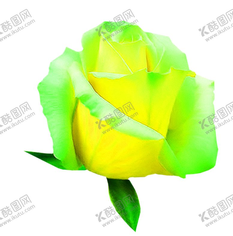 编号：54024207011752159458【酷图网】源文件下载-花素材