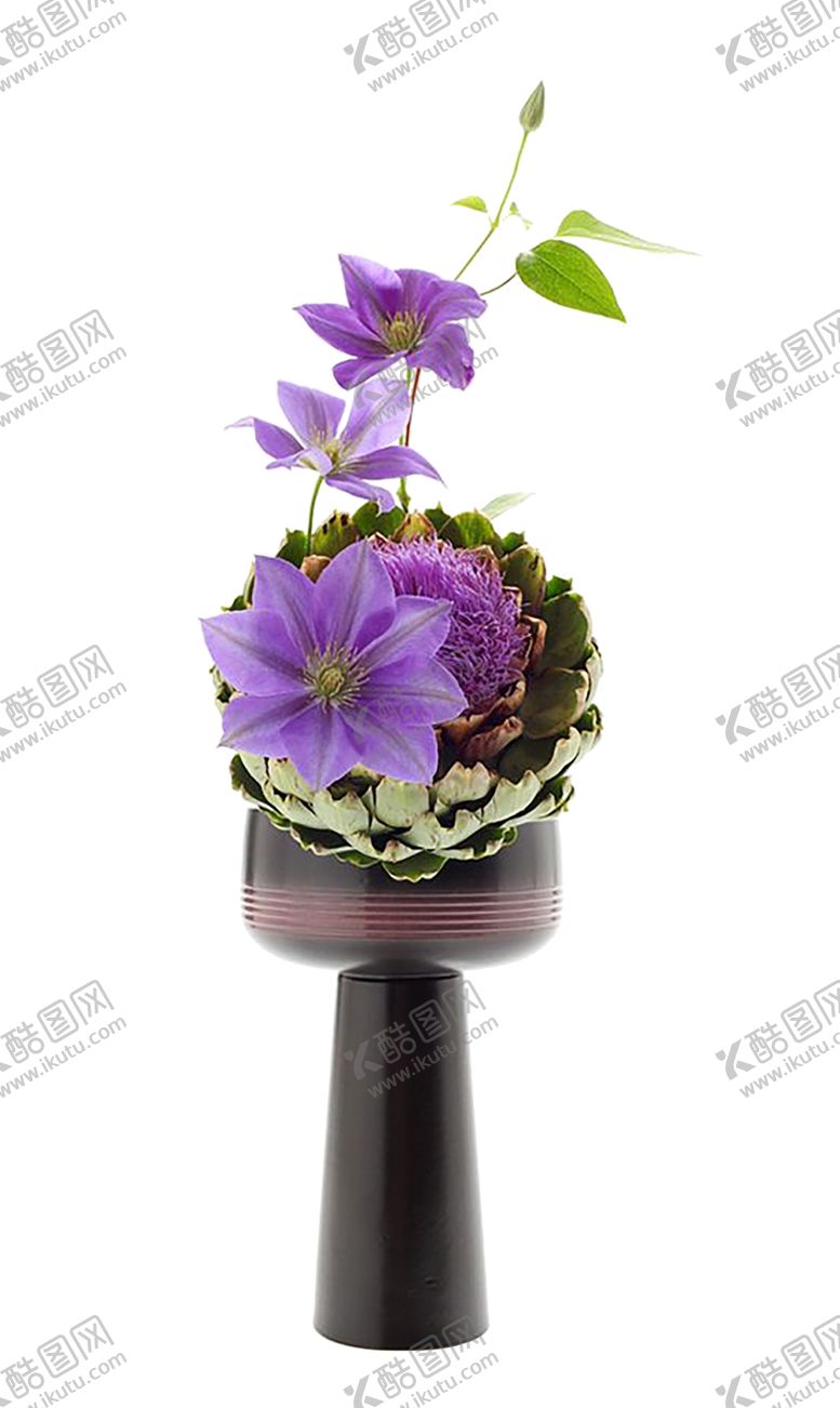 编号：41061206270425262173【酷图网】源文件下载-花艺