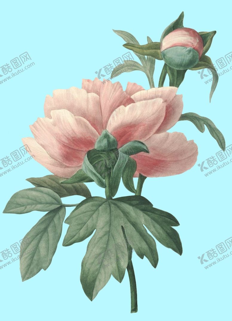 编号：95002807122117017932【酷图网】源文件下载-手绘花