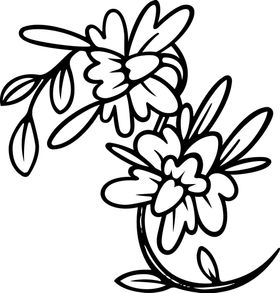 富贵花纹路剪影