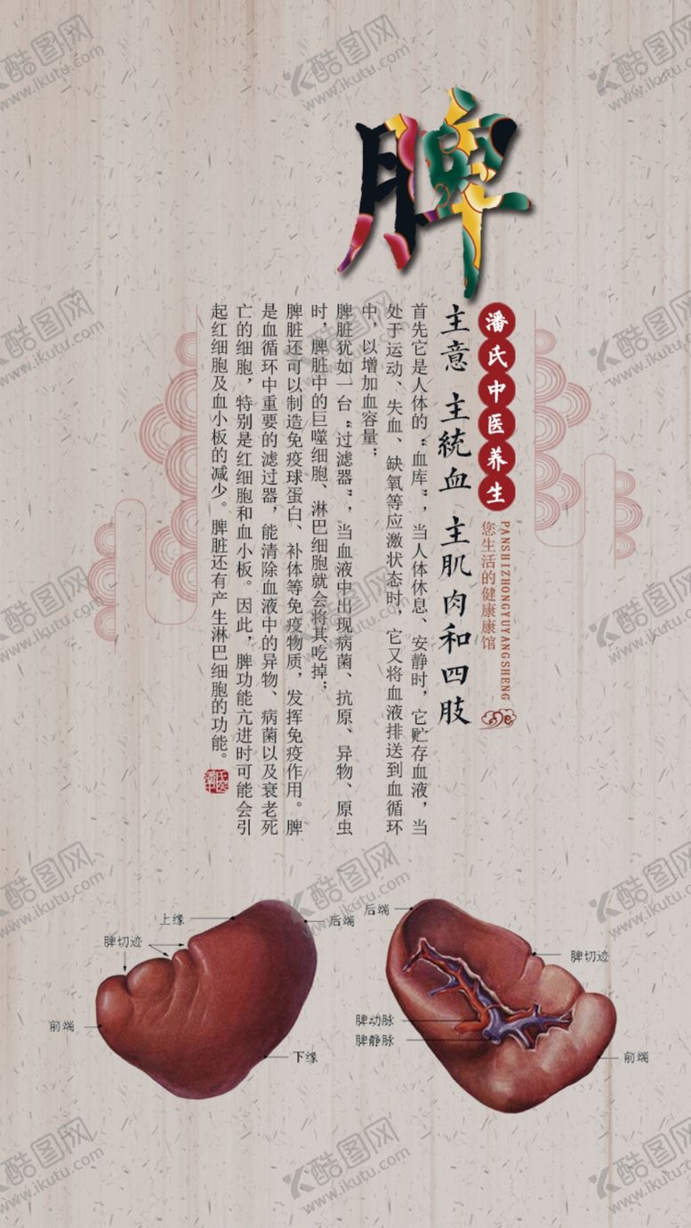 编号：16965109270221033622【酷图网】源文件下载-养生健康海报