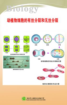 生物知识展板图片学校科学