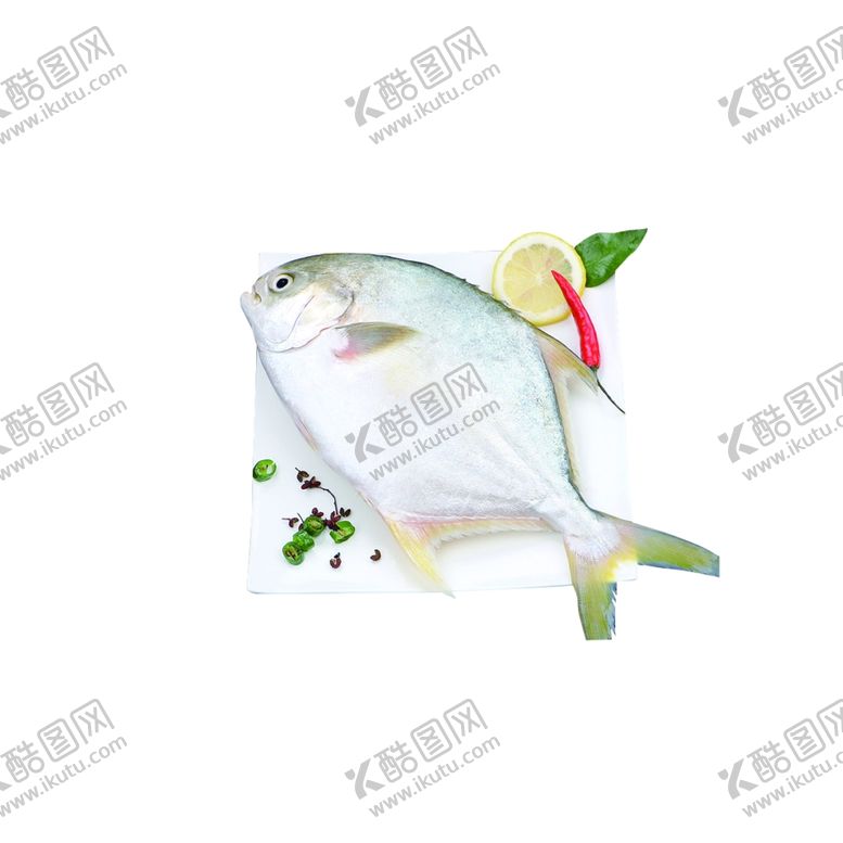 编号：31327712050334482808【酷图网】源文件下载-鲳鱼