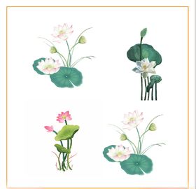 荷花荷叶插画卡通海报素材