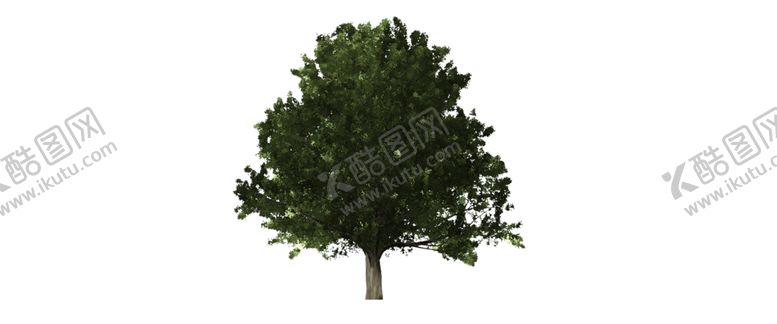 编号：79281909111803423680【酷图网】源文件下载-绿色装饰