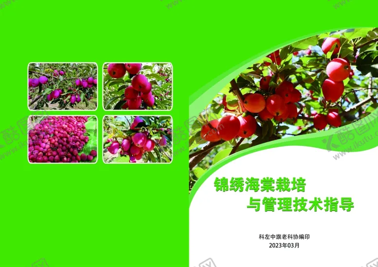 编号：75231712221954283232【酷图网】源文件下载-果树封面
