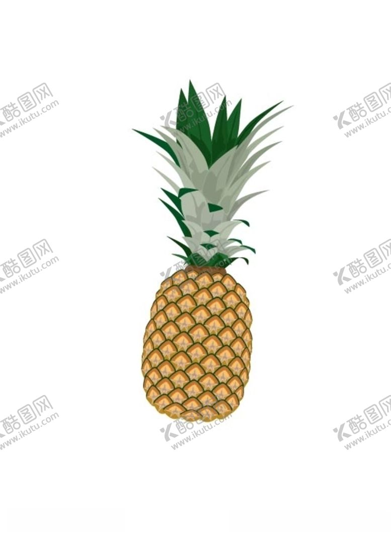 编号：90325010130812051282【酷图网】源文件下载-凤梨