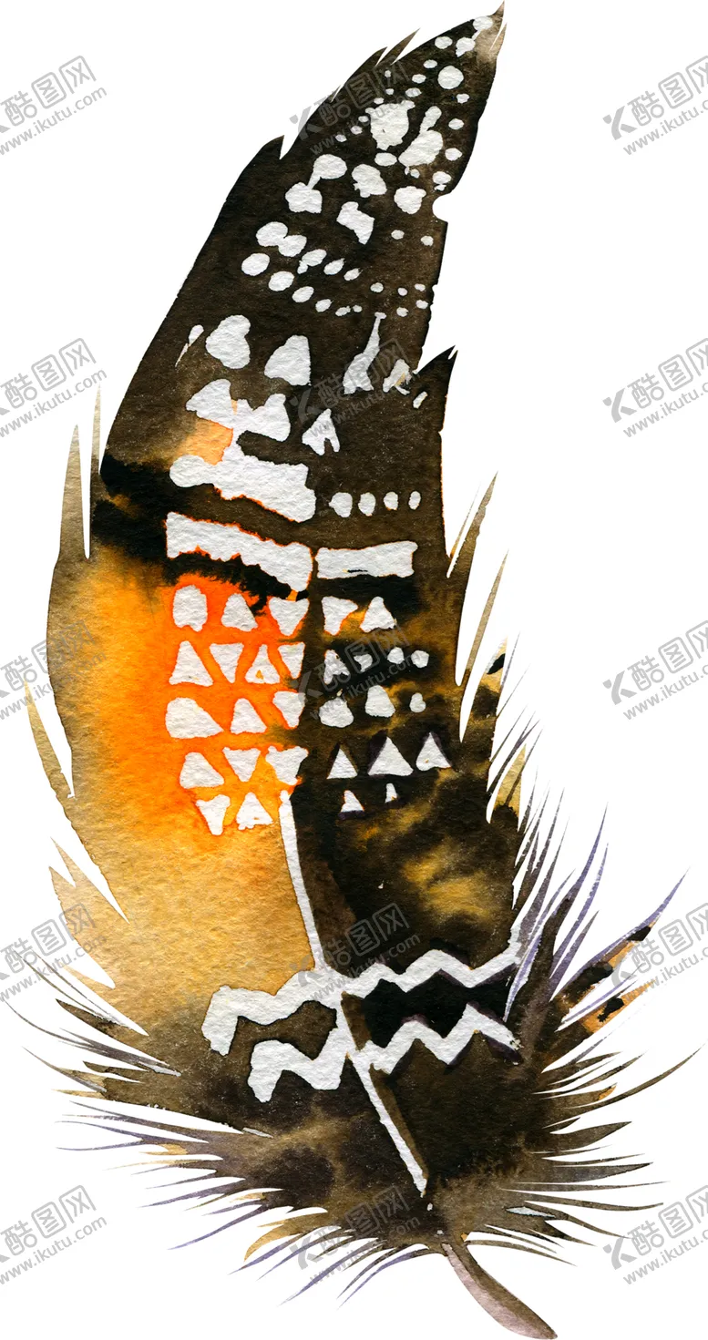 编号：34672207081618504966【酷图网】源文件下载-水彩创意羽毛图案