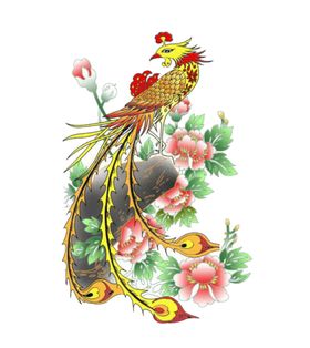手绘水彩凤凰