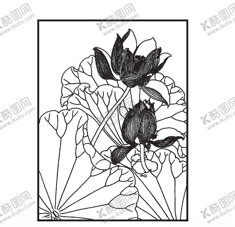 编号：86060810020900191958【酷图网】源文件下载-荷花