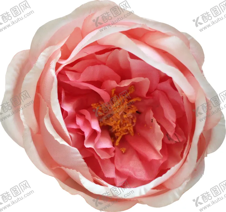 编号：52328706281702221367【酷图网】源文件下载-复古花朵植物图案