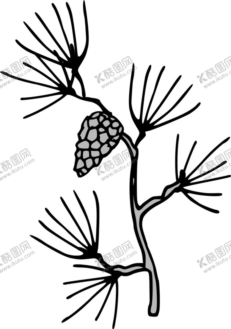 编号：28715711020902566689【酷图网】源文件下载-松树