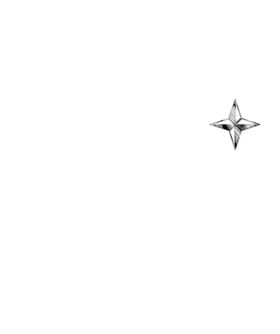 小星星