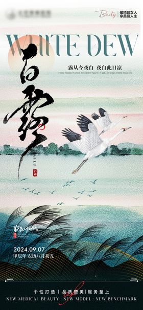 白露节气海报二十四珠飞鹤