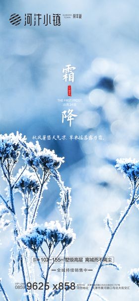 霜降寒露地产微信稿