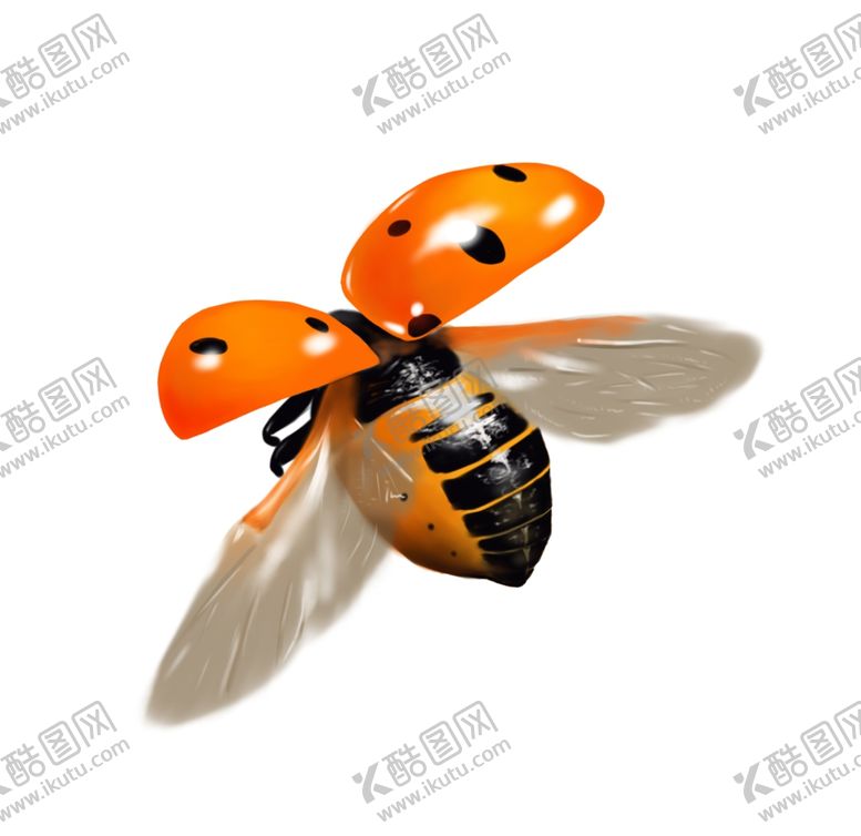 编号：41522804201844445257【酷图网】源文件下载-手绘飞行瓢虫