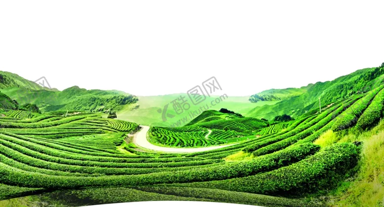 编号：25790309231934096208【酷图网】源文件下载-山峰