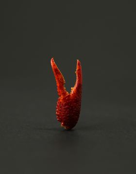 小龙虾