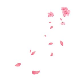 樱花素材