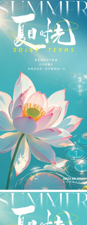 夏至节气海报荷花二十四荷叶