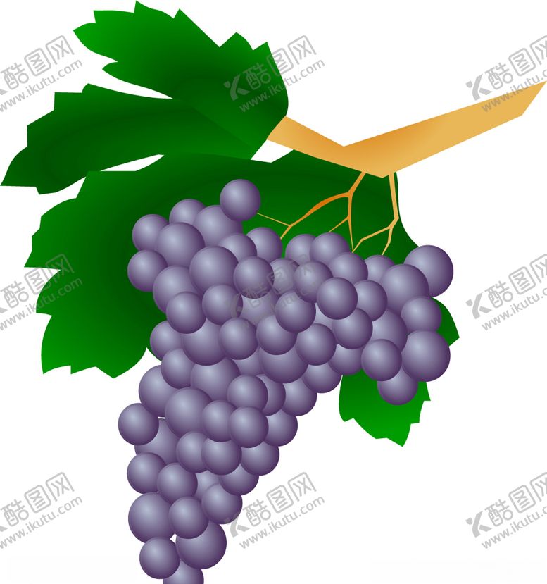 编号：47090410121419003597【酷图网】源文件下载-矢量葡萄