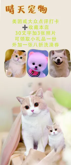 宠物店宣传