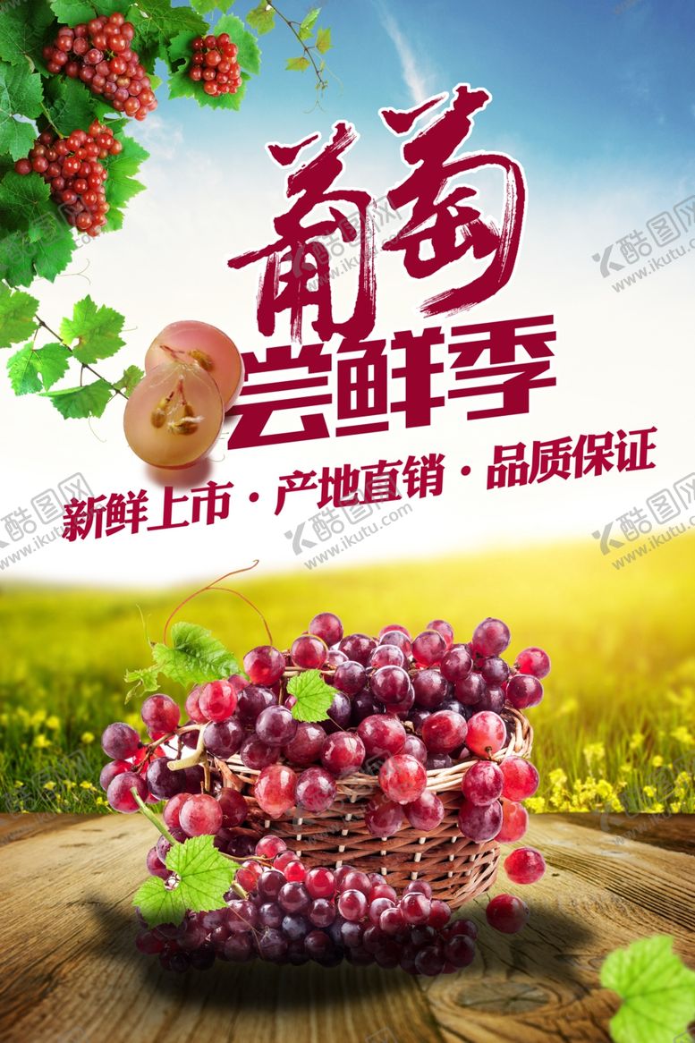 编号：60494406241914217624【酷图网】源文件下载-葡萄海报