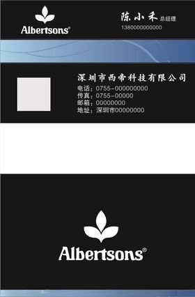 西迪尔科技