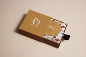 包装盒样机推广品牌宣传