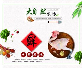 冰鲜鸡海报