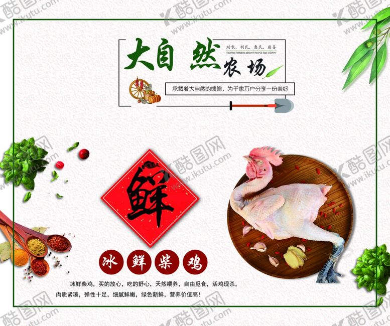 编号：76899110311143321628【酷图网】源文件下载-冰鲜鸡海报