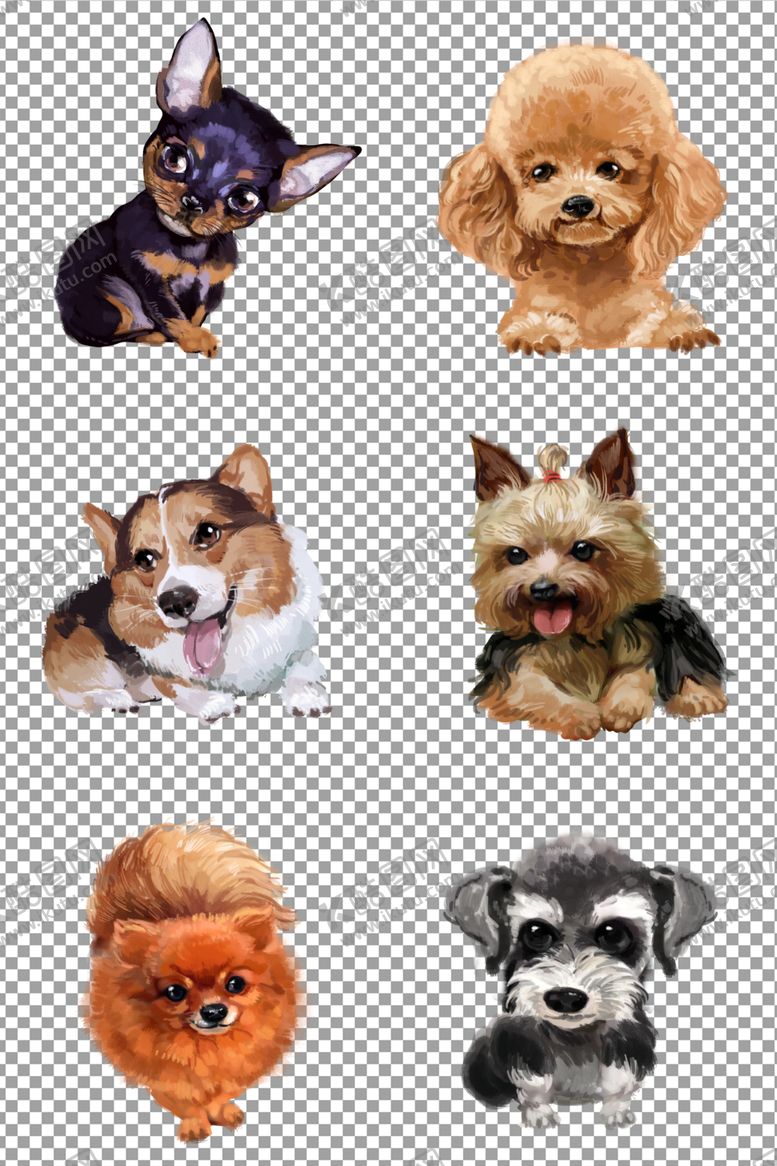 编号：76989709190239123191【酷图网】源文件下载-宠物狗