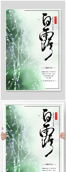 白露节气清新海报