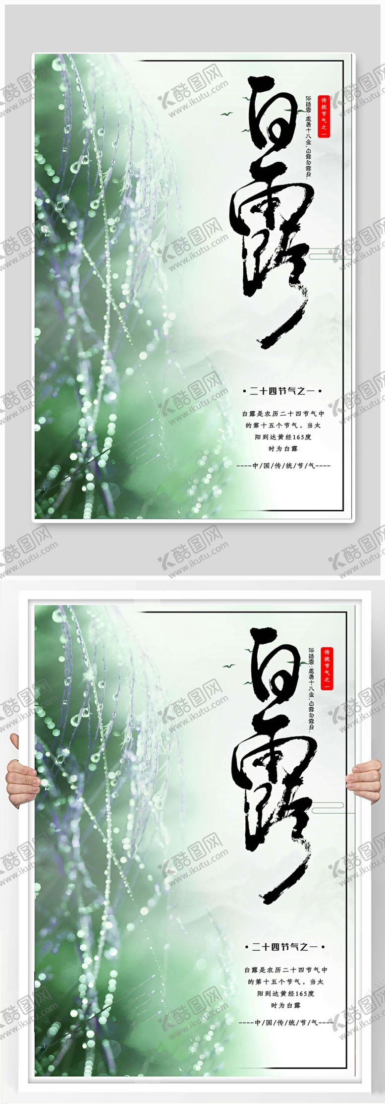 编号：21974810032122046409【酷图网】源文件下载-白露节气清新海报