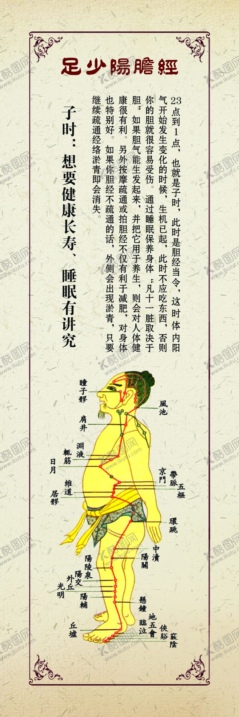 编号：30956505011946133905【酷图网】源文件下载-足少阳蟾经中医文化